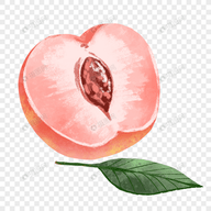 WWW,791se·COM网站APPAPP应用
