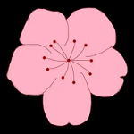91香蕉视频APP图片